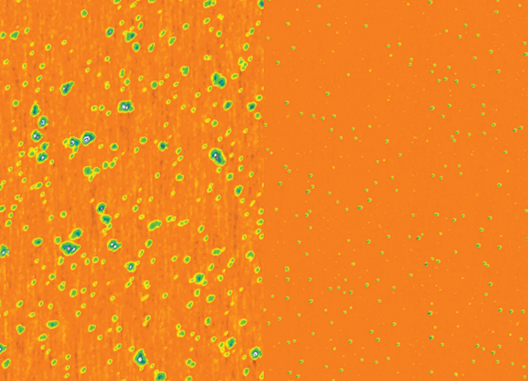 Colorized atomic force microscopy maps of silica nanoparticles before and after separation