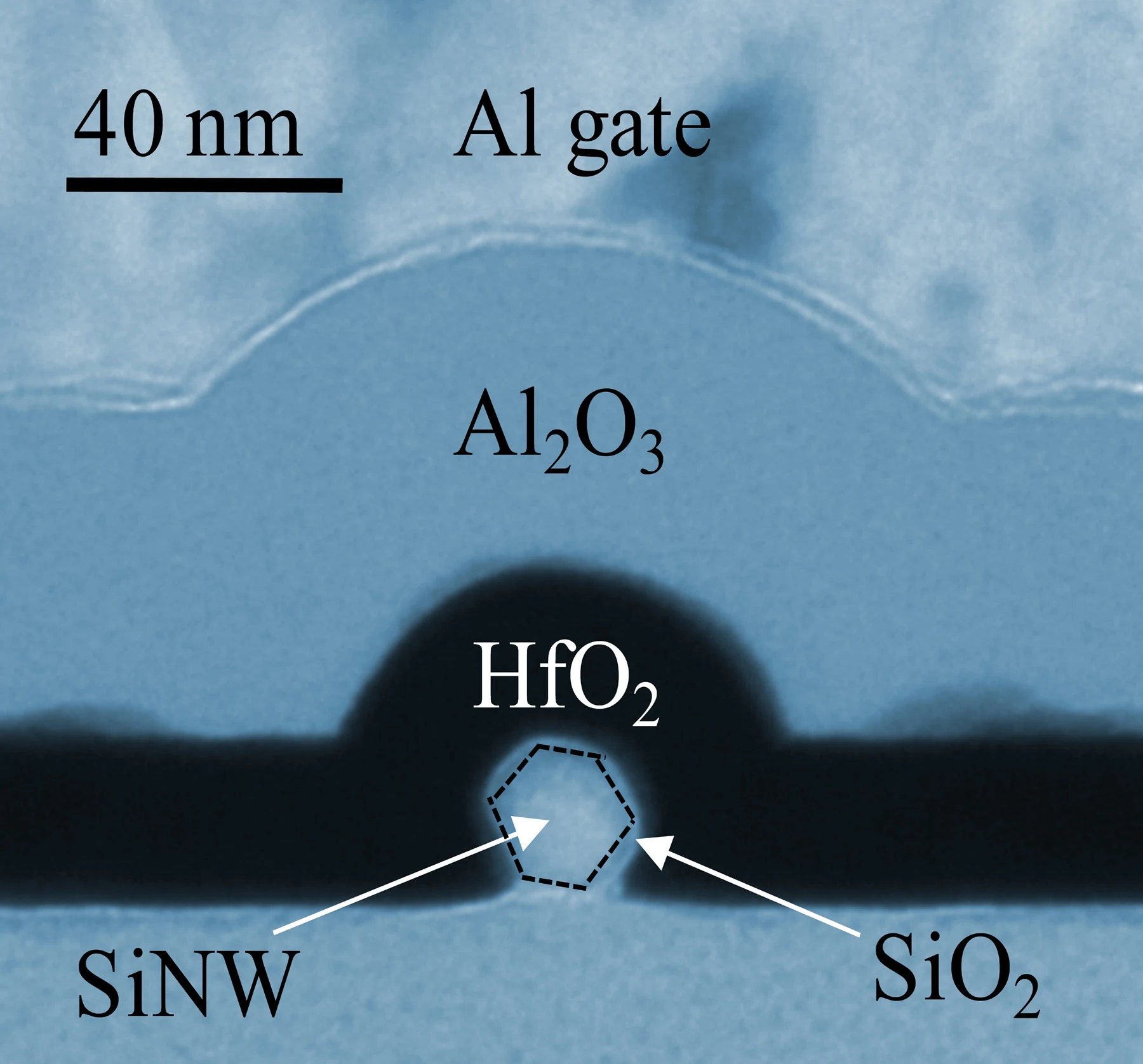Color-added transmission electron micrograph showing an annotated silicon nanowire and surrounding layers with a 40 nanometer scale bar
