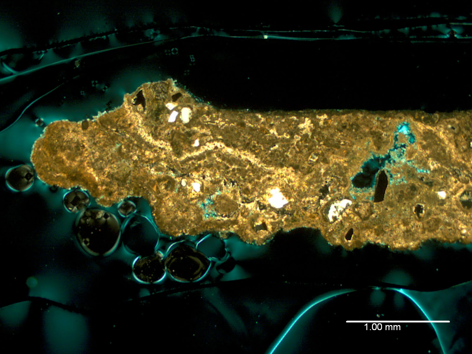 Cross-polarized micrograph of a layered desert rock crust with blue epoxy marking pores and an embedded one millimeter scale bar