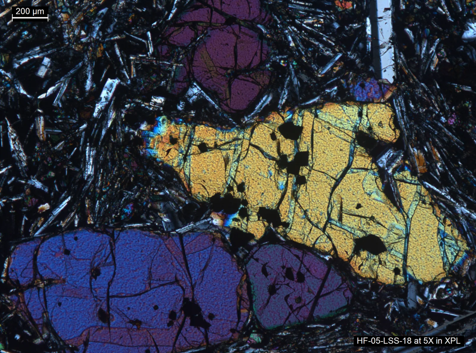 Polarized-light micrograph of a Yellowstone lava thin section, with colorful olivine crystals, dark inclusions, and an embedded 200 micrometer scale bar